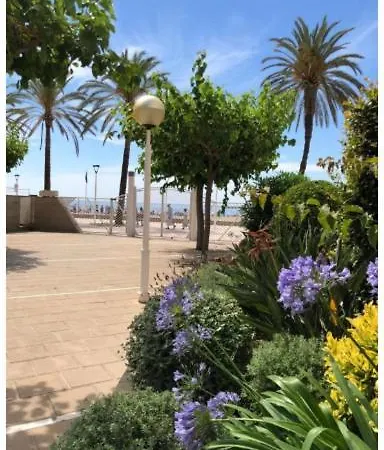 Apartment Beachfront Relax Playa *